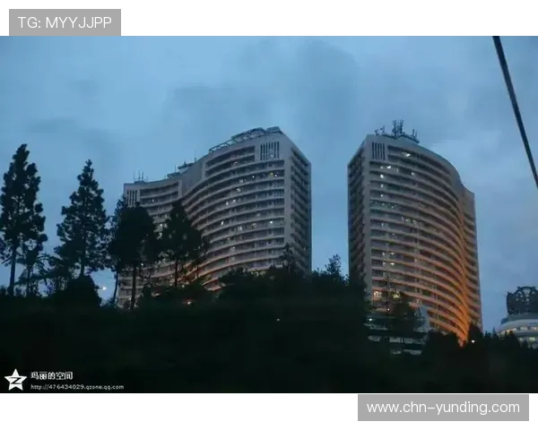 马来西亚云顶官方网址遇到登录问题的解决方案与技术支持